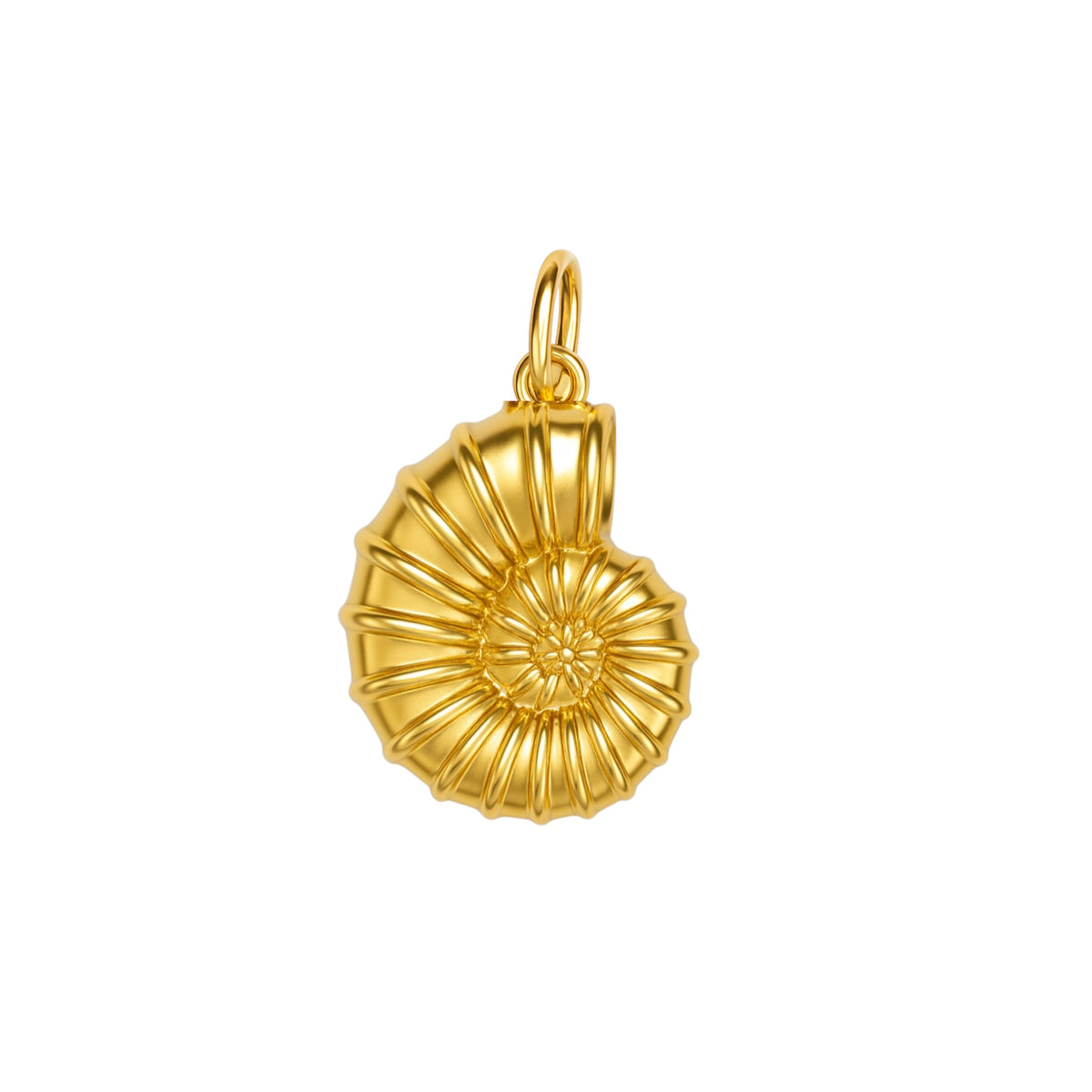 Fossil Charm