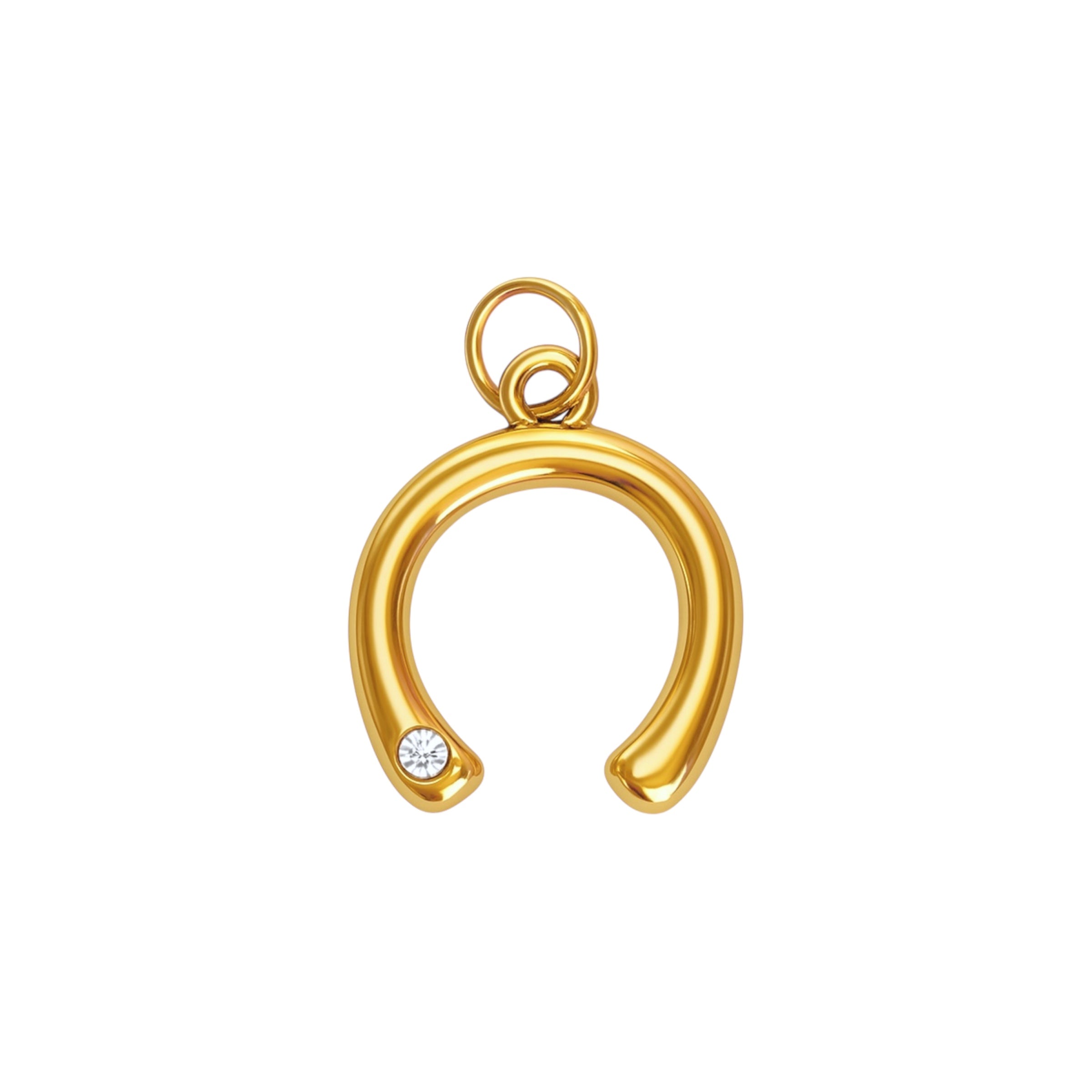 Horseshoe Charm