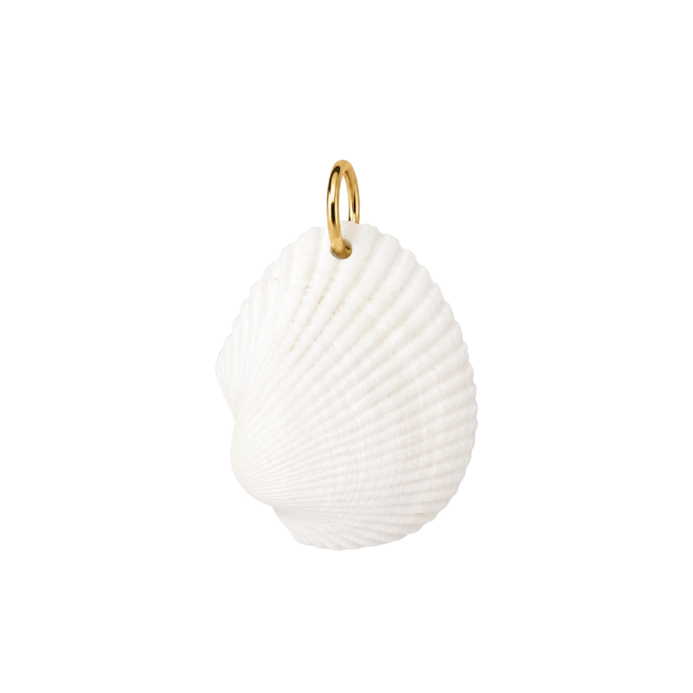 Natural Ark Shell