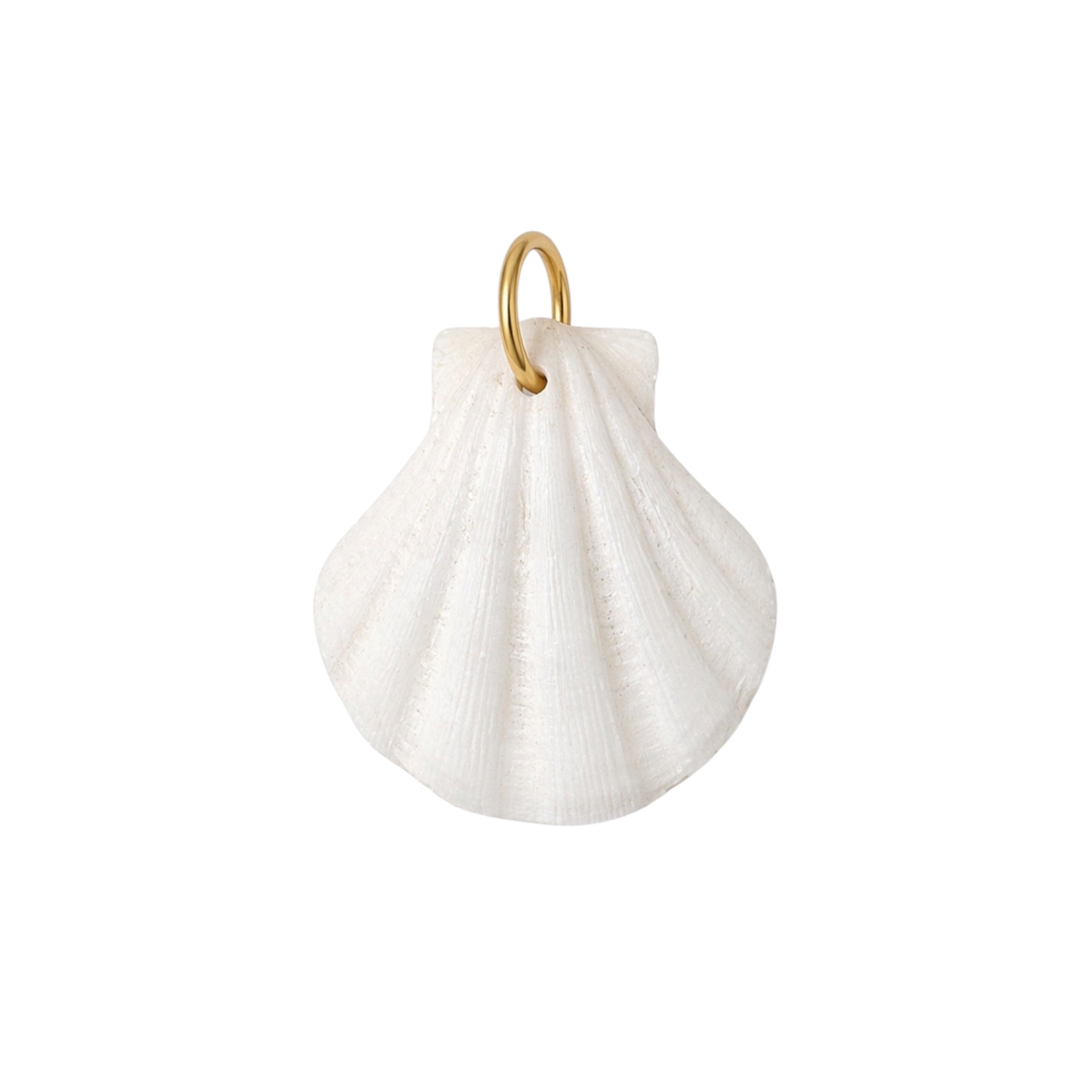 Natural Scallop Shell Charm