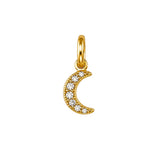 Crescent Moon Charm