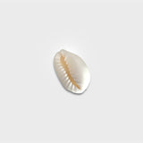 White Conch Shell Charm