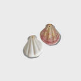 Natural Scallop Shells in White and Pink