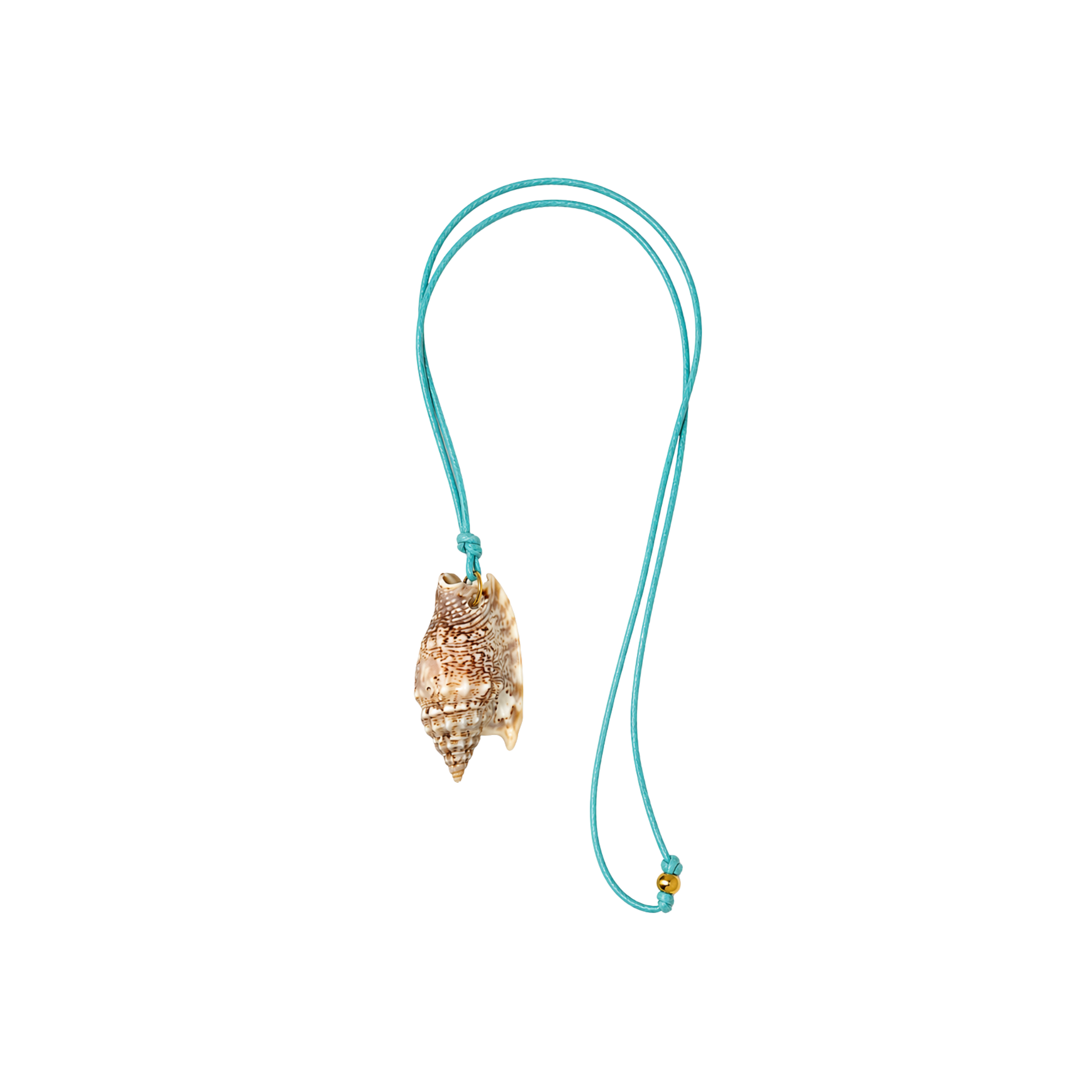 Turquoise Cord Shell Necklace