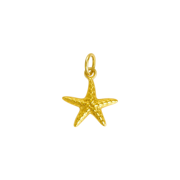 Tiny Starfish Charm