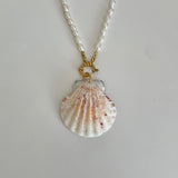 Natural Scallop Shell: 1