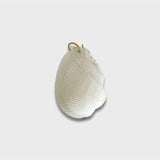 Natural Ark Shell: Large