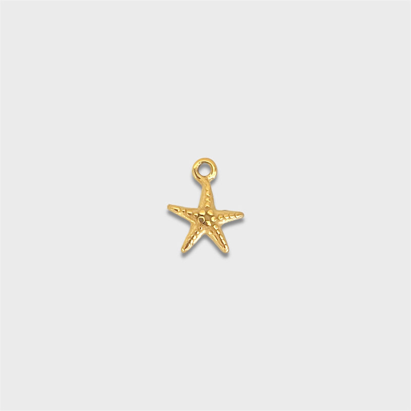 Tiny Starfish Charm