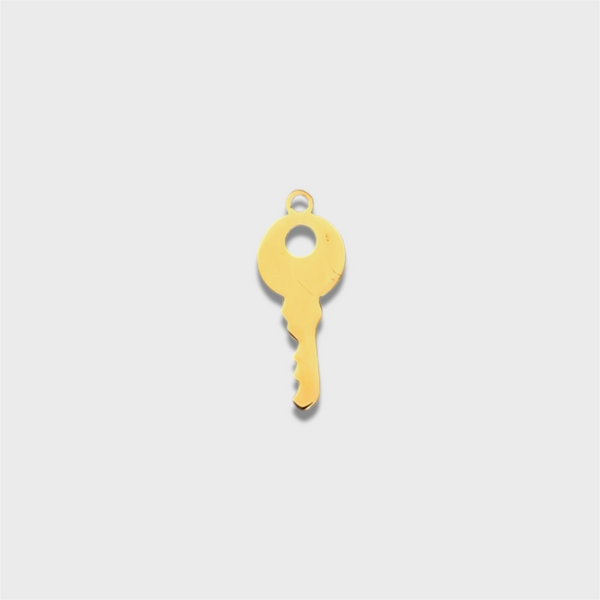 Tiny Key Charm