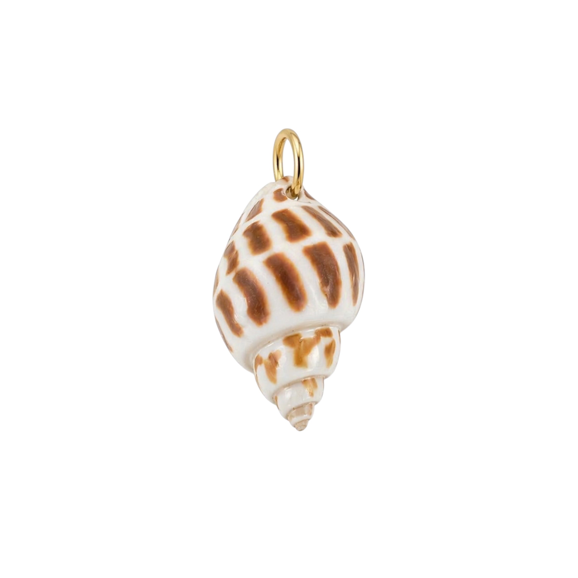 Natural Hermit Shell Charm