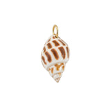 Natural Hermit Shell Charm