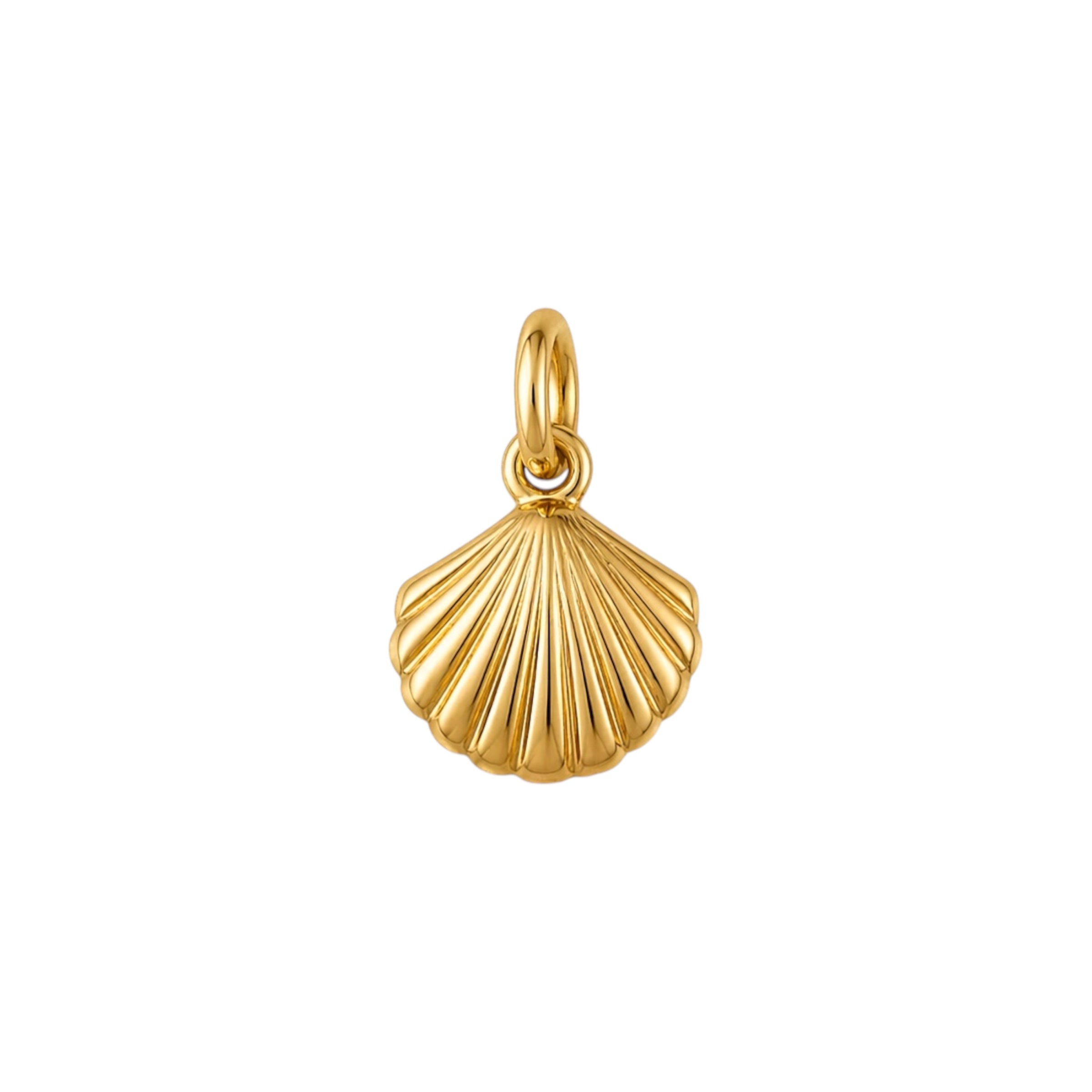 Scallop Shell Charm