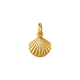 Scallop Shell Charm